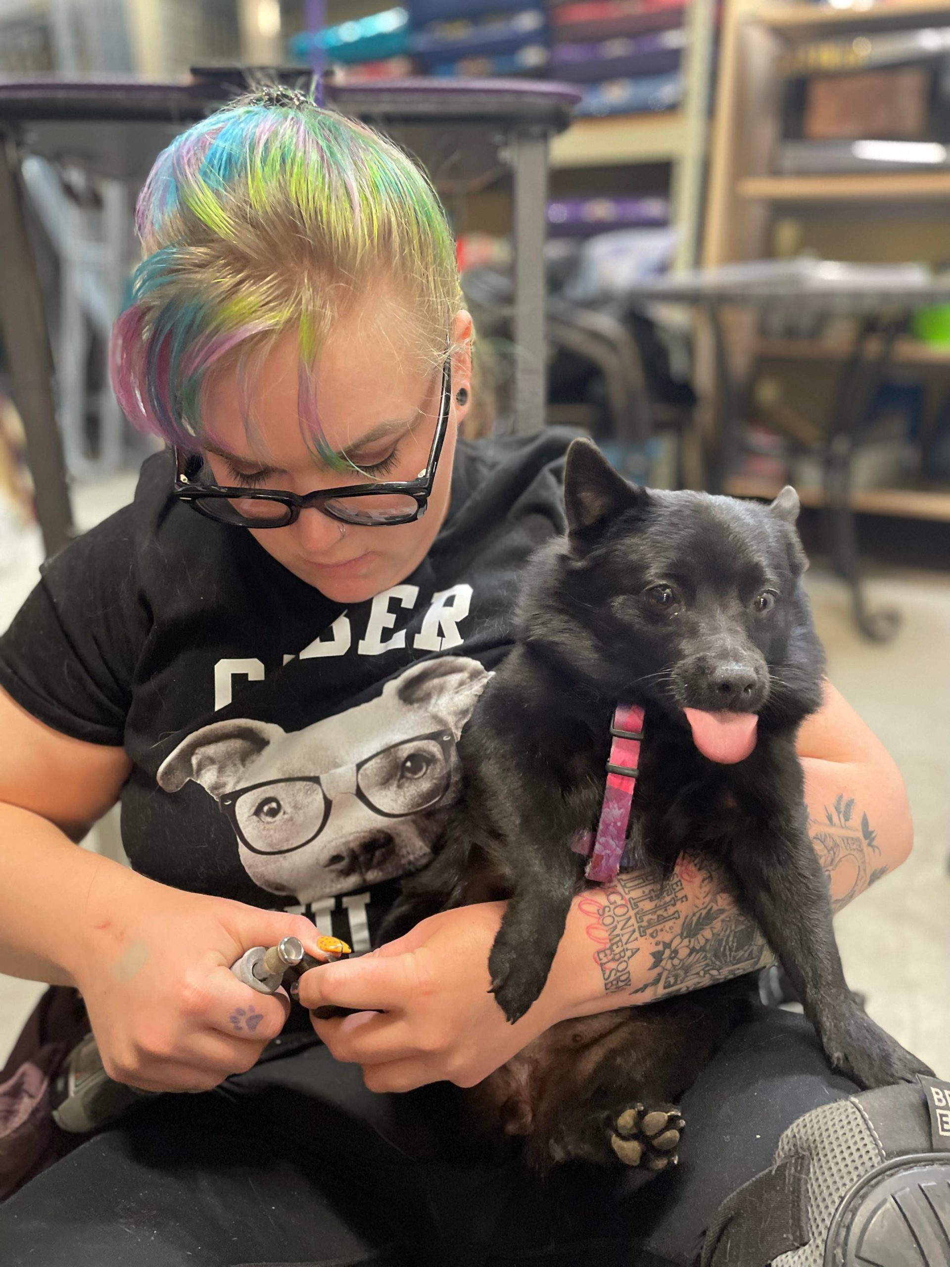 Bree from Nailed It Denver holds a small black dog with its tongue out why she gets the dogs nails trimmed.